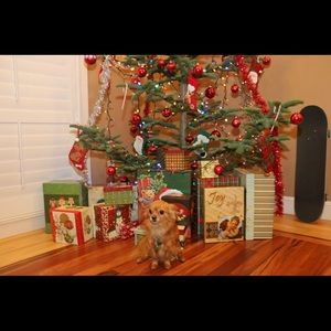 Meet your Posher, Tilla